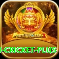 afghanistan cricket Game Gold v5.2.4