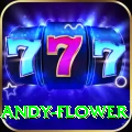 andy flower Pro1 v1.5.3