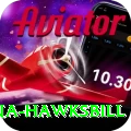 antigua hawksbill Apps (Tools & Injectors) Plus v3.3.3