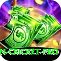 australian cricket Official v4.9.8