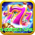 bangladesh cricket live VIP Edition v1.4.4