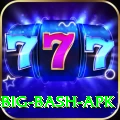 bbl big bash apk Apps (Tools & Injectors) Pro v3.0.4