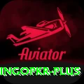 bingopkr Elite Pro v1.3.2