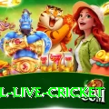 bpl live cricket Deluxe Pro v1.7.2