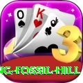 chhusang fossil hill Gold Pro v1.2.5