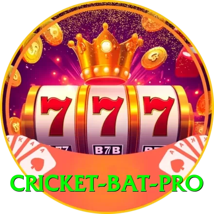 cricket bat Gaming Deluxe v5.1.5 - 2