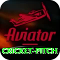 cricket pitch Deluxe Pro v2.9.9