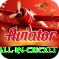 fastest ball in cricket Premium Edition v2.6.9