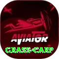 grass carp Games (Casino & Earning) Gold v4.1.9