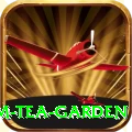 hile ilam tea garden Turbo Pro v4.2.2