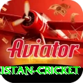 india pakistan cricket Gold v4.2.1