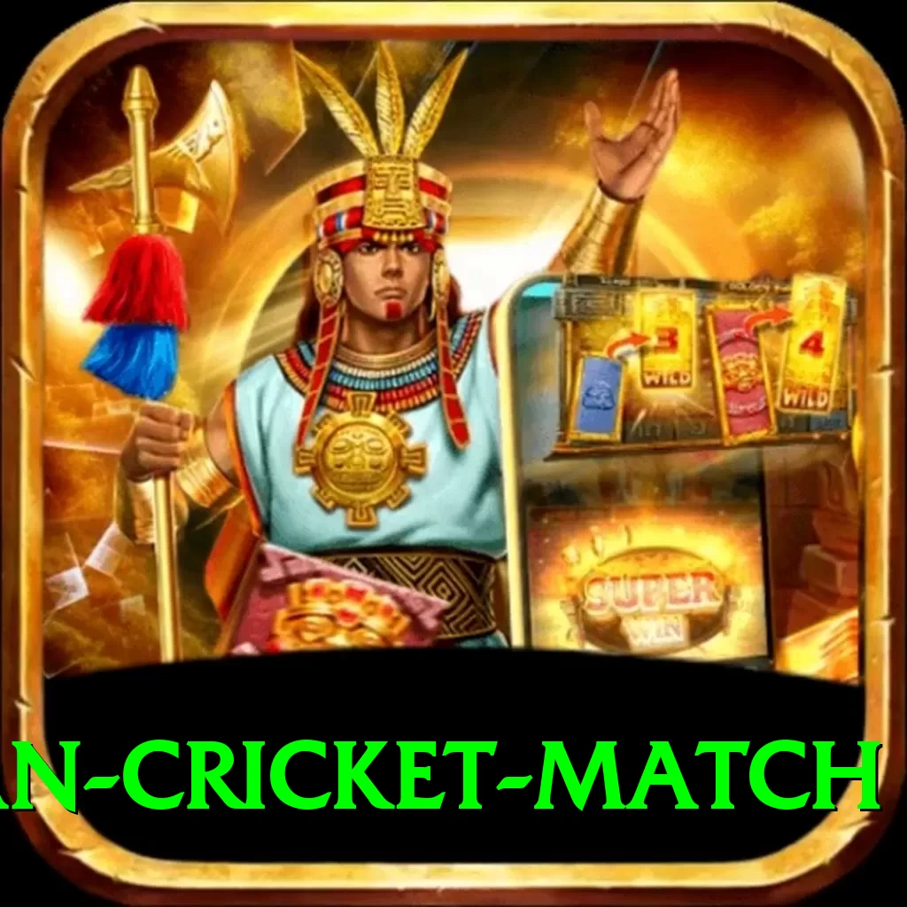 india pakistan cricket match Deluxe v3.7.3 - 2