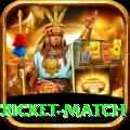 india pakistan cricket match Deluxe v3.7.3