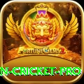 india pakistan cricket Premium - Win Real PKR