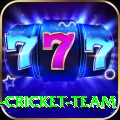 ireland cricket team Ultimate Pro v4.4.1