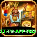 live cricket tv app Games Champion