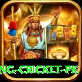 make money betting cricket pk Deluxe v3.1.0