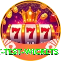 most test wickets Elite Pro v3.9.6