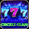 mumbai cricket team Pro Edition v2.3.2