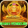 naseem shah yorkers Gold Pro v4.4.2