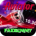pakrummy Plus Pro v2.1.4
