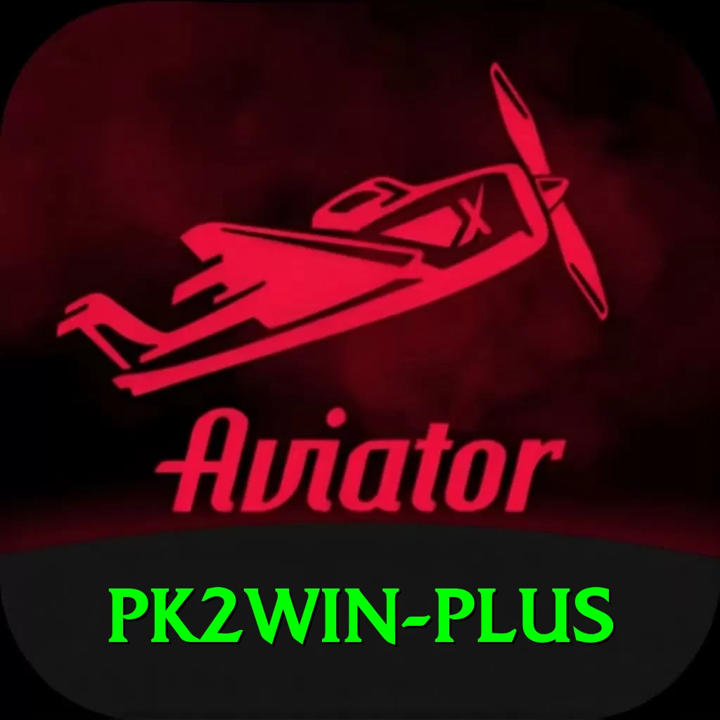 pk2win Premium Plus v2.3.3 - 2