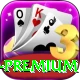 PKR 888 Game - Slots Premium