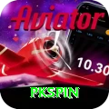 pkspin Premium v3.1.9