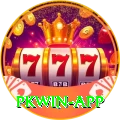 pkwin Gold Pro v1.8.3