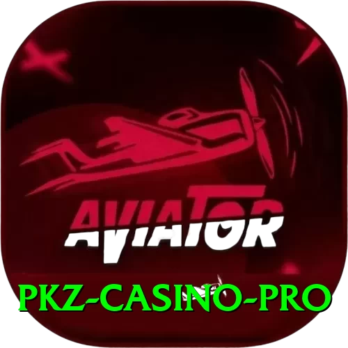 PKZ Casino VIP - 2