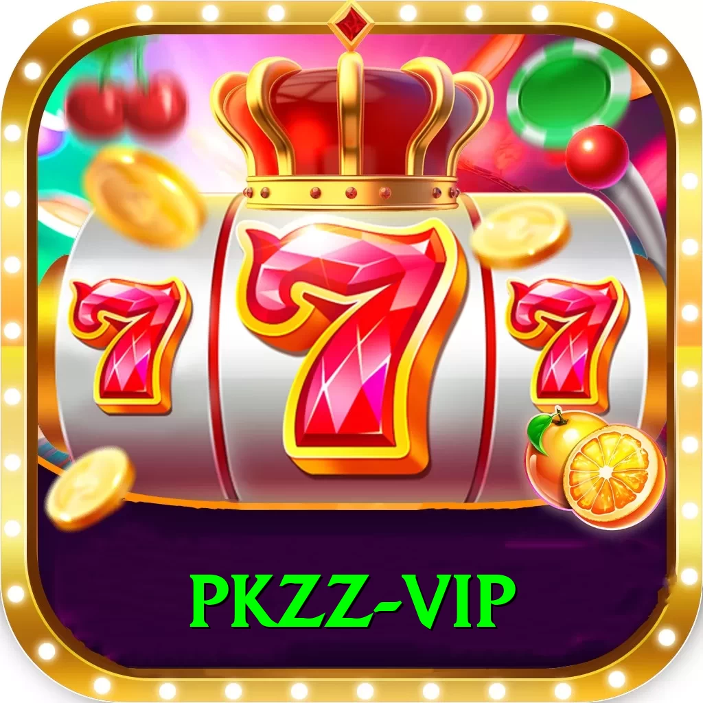 pkzz VIP Pro v1.6.0 - 2