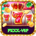 pkzz VIP Pro v1.6.0