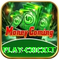 play cricket App