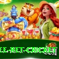 risk free bet cricket Gold v3.3.2