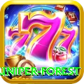 samar juniper forest Apps (Tools & Injectors) Plus v4.1.2