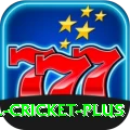 sl cricket Deluxe Slots