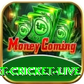 smart cricket live Pro Edition v5.3.3