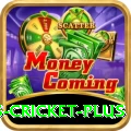 sports cricket Extreme - Free Download