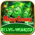 steve waugh Max v3.4.6