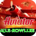 wicket hauls bowlers VIP Pro v3.1.2