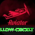 willow cricket Pro Max v5.8.9