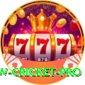 willow cricket Legend Latest v2.5.4