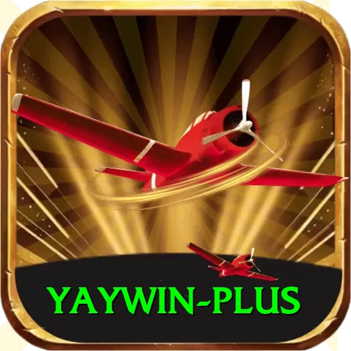 yaywin Deluxe Pro v4.0.4 - 2