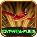 yaywin Deluxe Pro v4.0.4